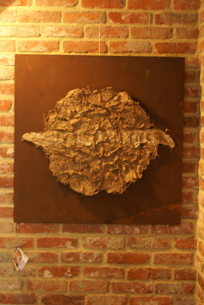 Wandwerk irisvezel