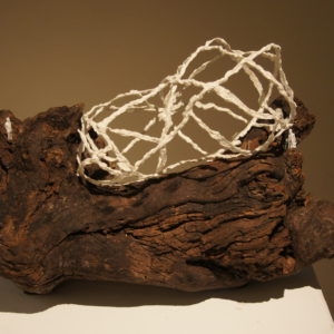 Arboretum 2017