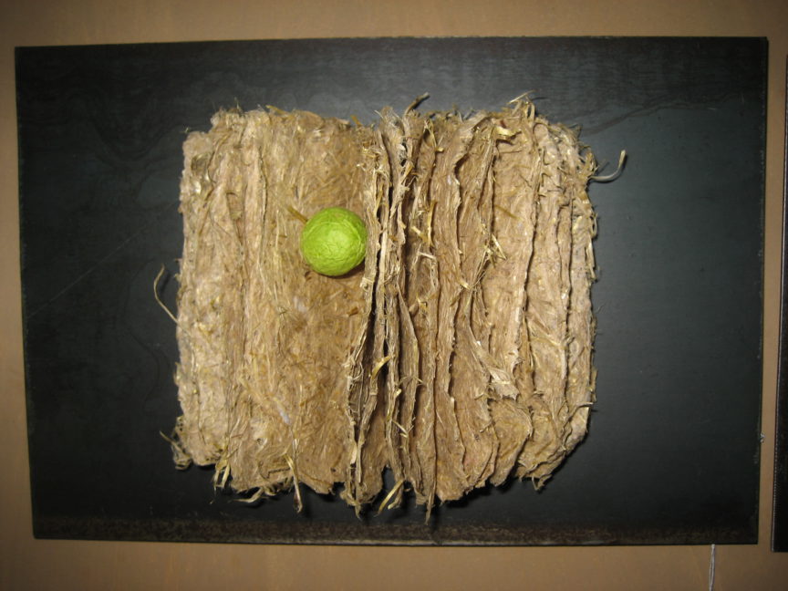 Wandwerk uit aspergevezel